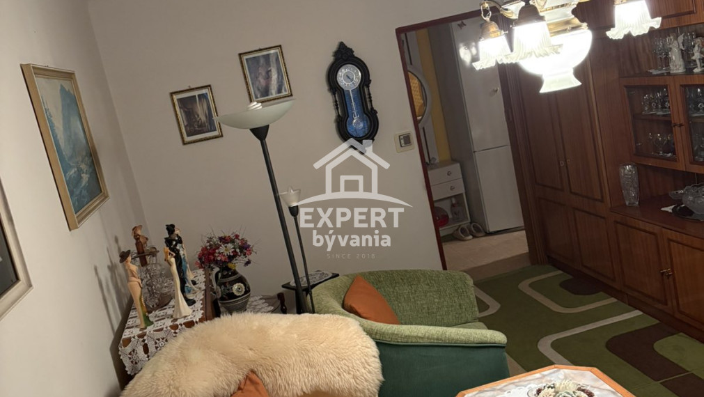 1 IZBOVY BYT - 47m2 - POVODNY STAV - BALKON - PIVNICA