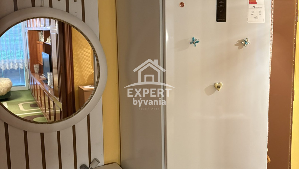 1 IZBOVY BYT - 47m2 - POVODNY STAV - BALKON - PIVNICA