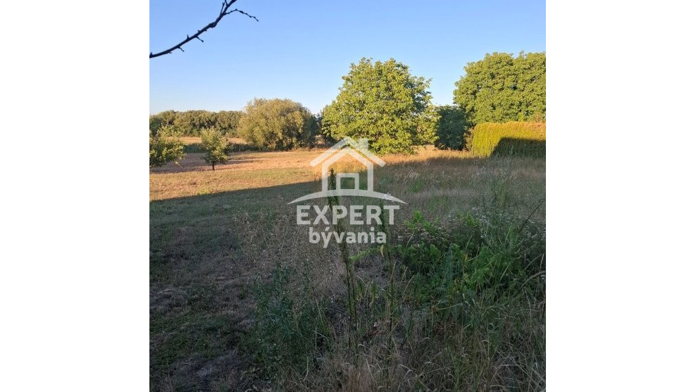 🏡 NA PREDAJ – STARŠÍ RODINNÝ DOM V LOKALITE PUSTÝ CHOTÁR / BELADICE