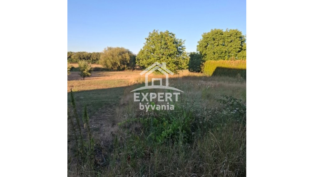 🏡 NA PREDAJ – STARŠÍ RODINNÝ DOM V LOKALITE PUSTÝ CHOTÁR / BELADICE